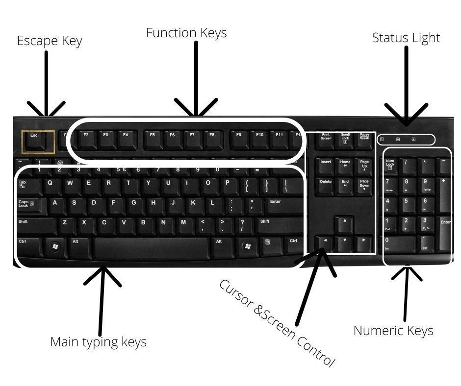 Parts Of A Computer Keyboard Diagram With label Functions And Uses